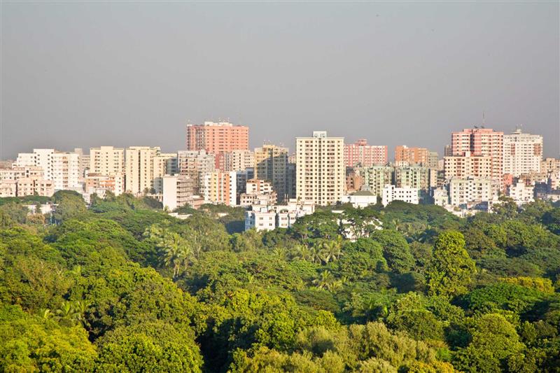 Placeholder Image 5 (Clone)